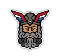 VIKING WARRIOR  sticker